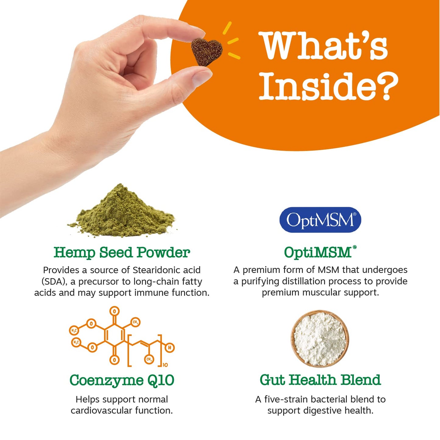 PawZest Omega Multivitamin Chews - Senior & Puppy