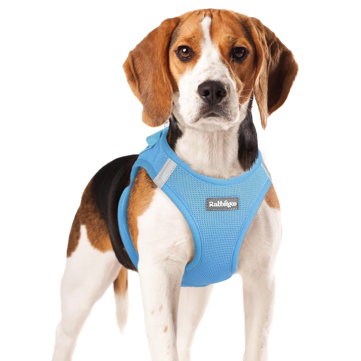 BunnyStep: Reflective Mesh Harness for Small Dogs