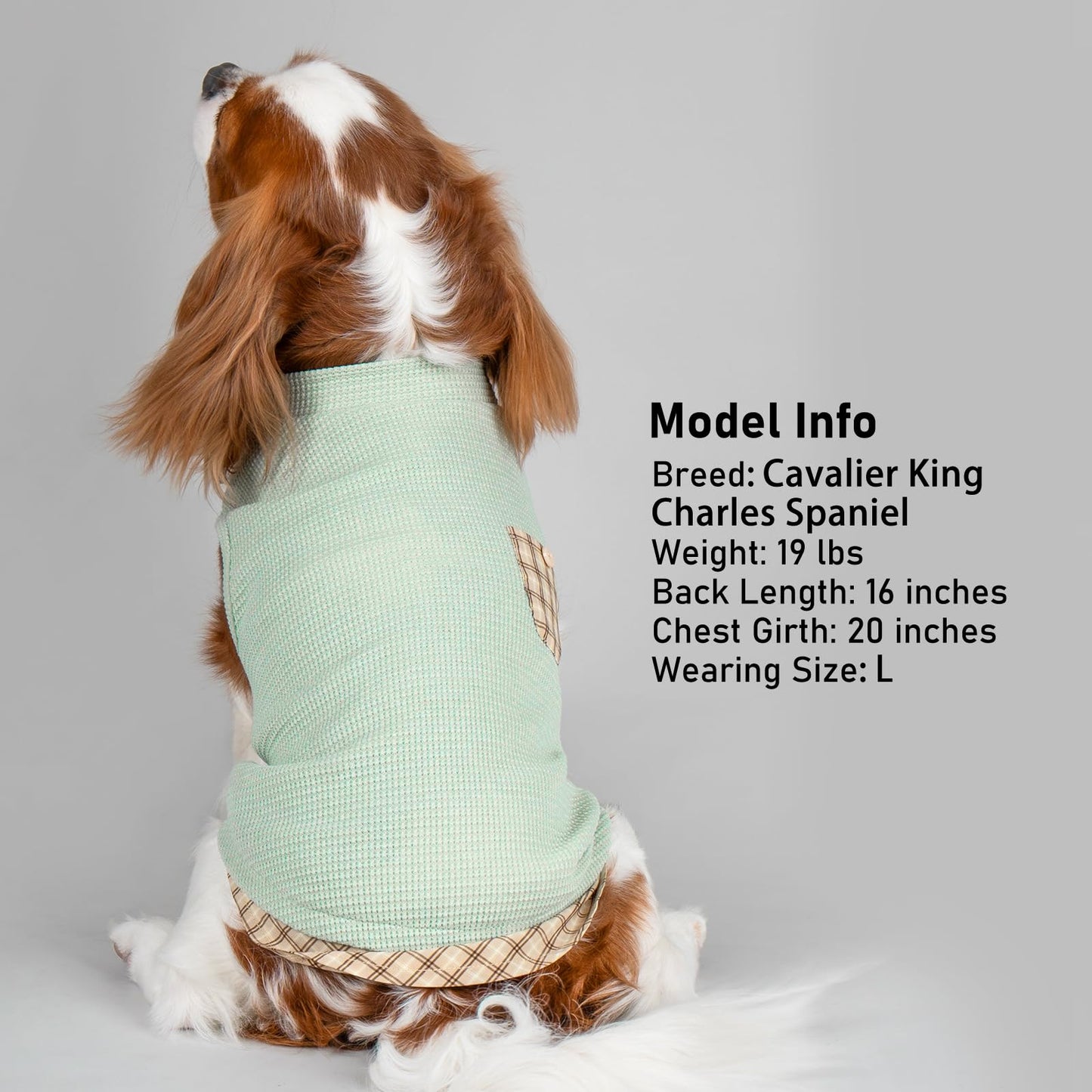 PlaidPup Waffle Vest: Soft, Stretchy, & Cute!