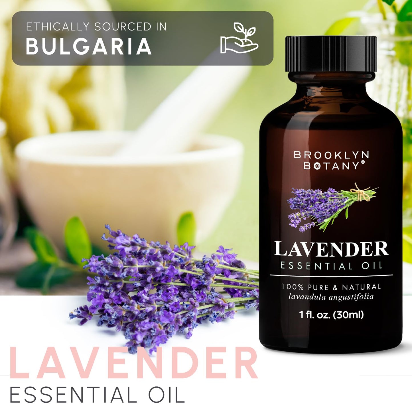 Brooklyn Botany Premium Lavender Oil - 4 Fl Oz