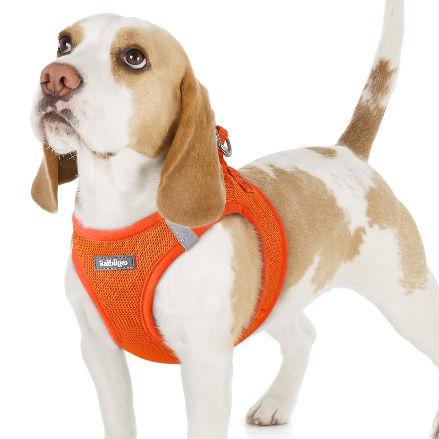 BunnyStep: Reflective Mesh Harness for Small Dogs