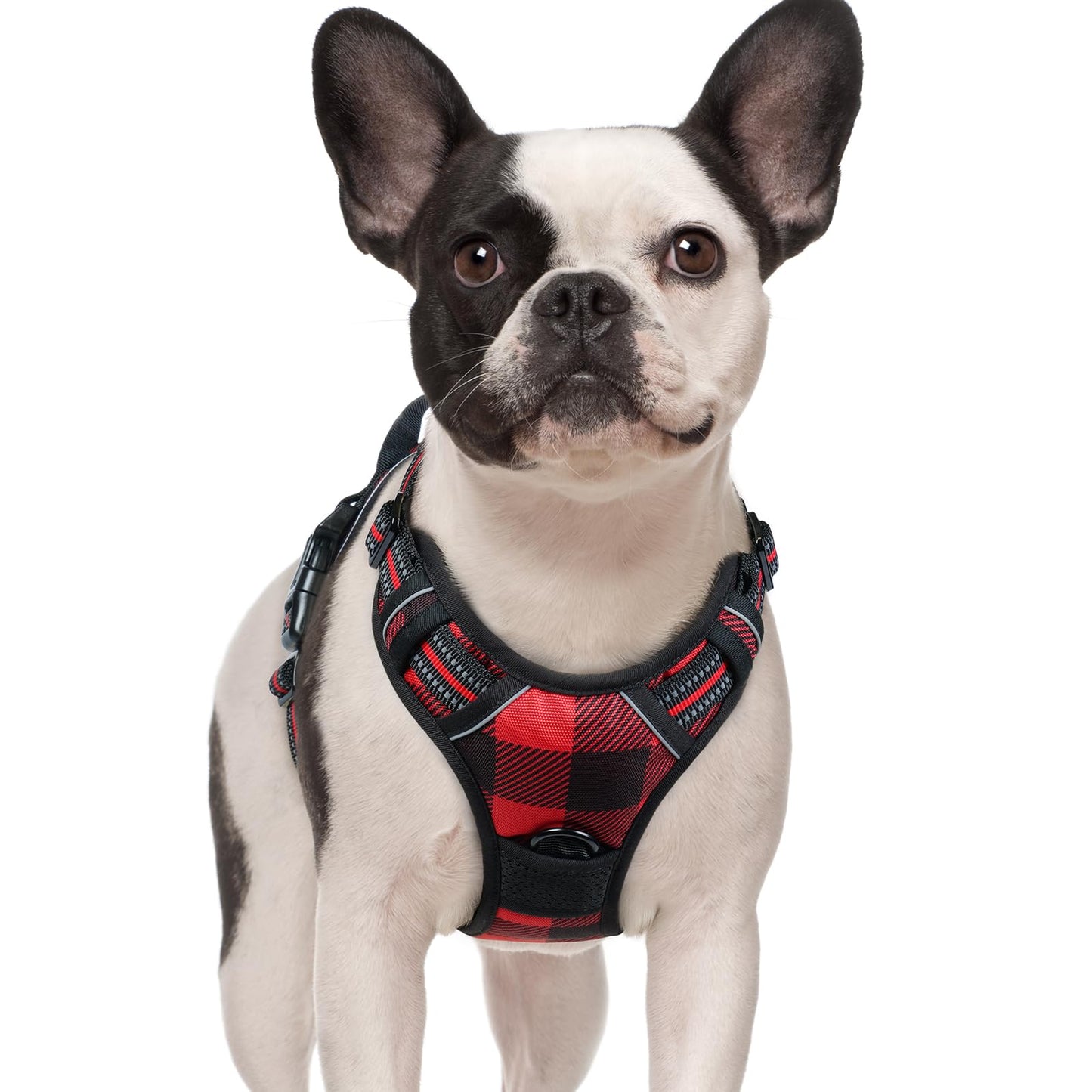 PawGuard No-Pull Reflective Dog Harness - Large Black