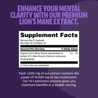 MushroomMind: Ultimate Nootropic Focus Formula