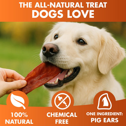 PawSavor Pig Ears: Natural, Tasty Chews for Dogs