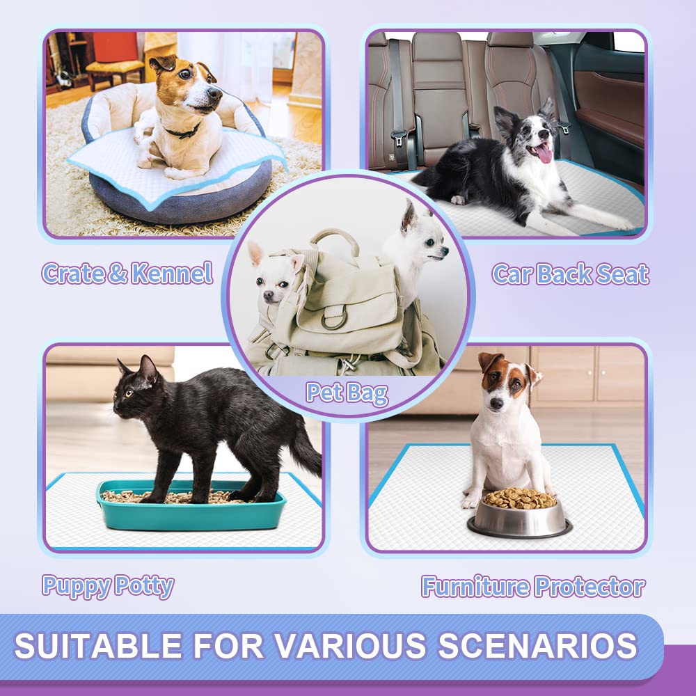 Puppy Pee Pro Pads - 100 Count Super Absorbent Set