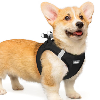 BunnyStep: Reflective Mesh Harness for Small Dogs