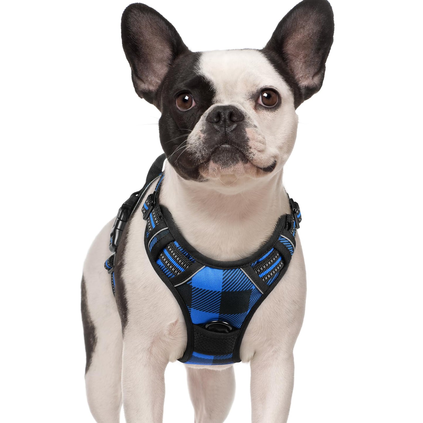 PawGuard No-Pull Reflective Dog Harness - Large Black