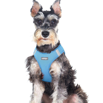 BunnyStep: Reflective Mesh Harness for Small Dogs