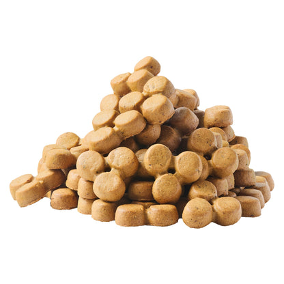 Wag Expedition Pumpkin Chia Dog Treats, Organic Biscuits