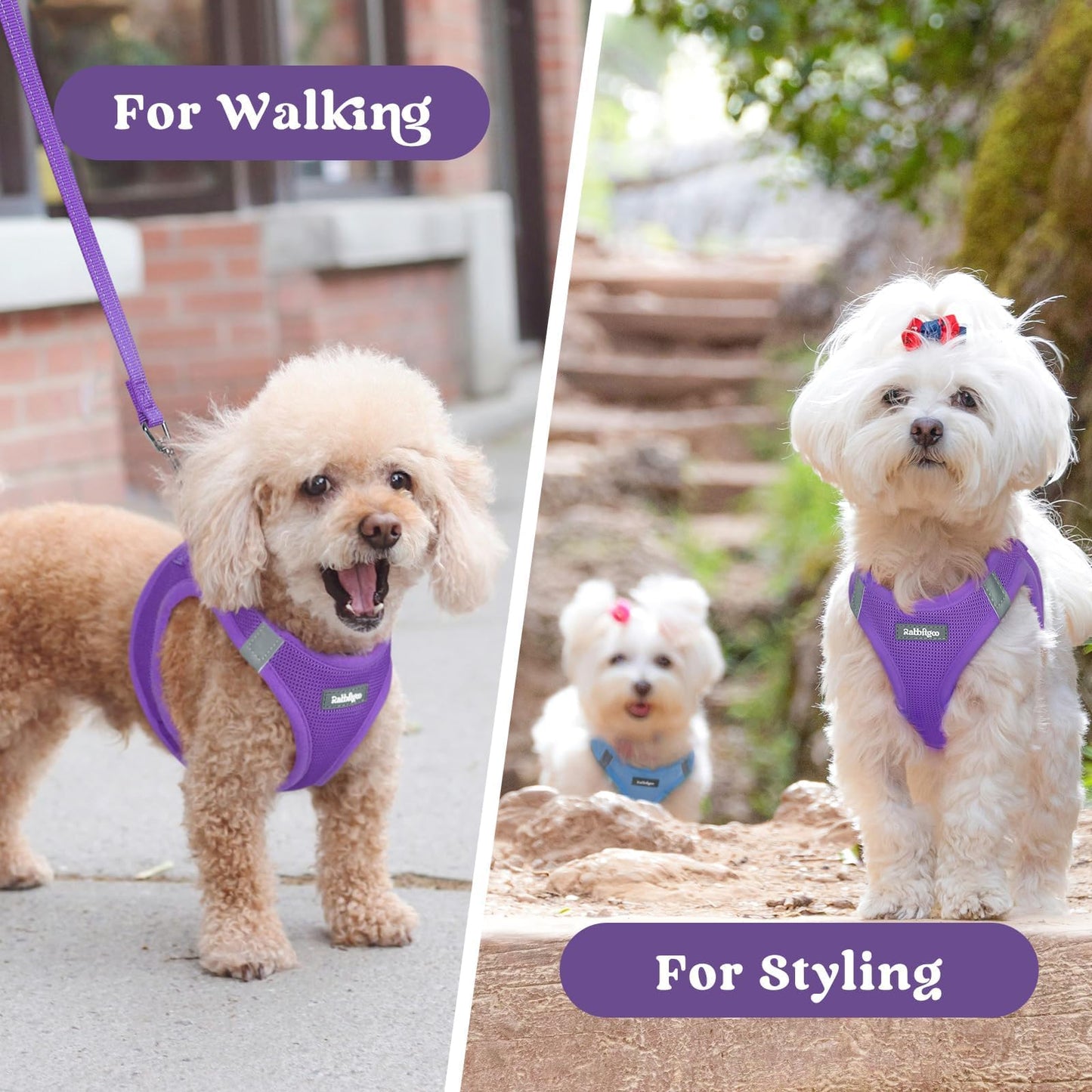 BunnyStep: Reflective Mesh Harness for Small Dogs