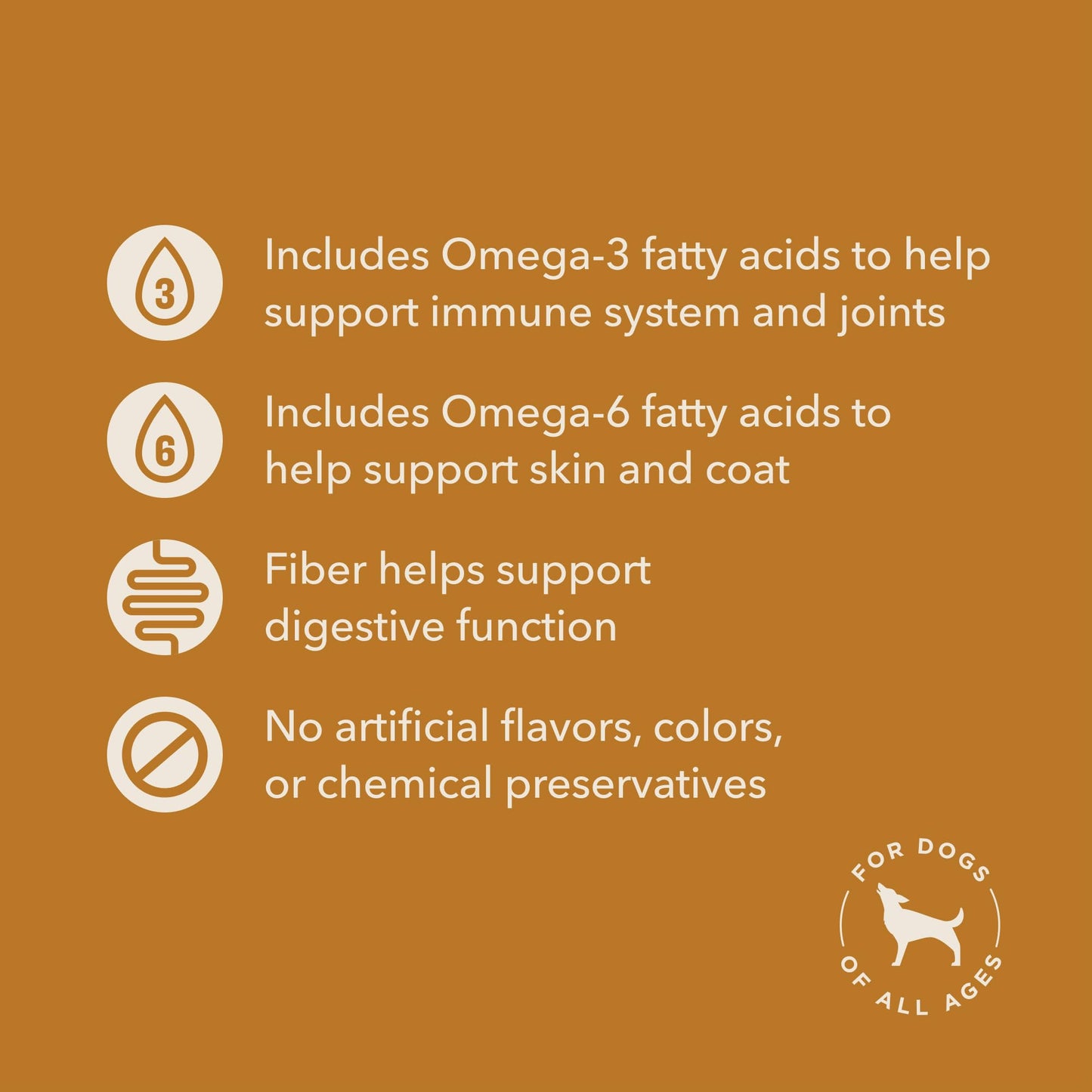 Wag Expedition Pumpkin Chia Dog Treats, Organic Biscuits