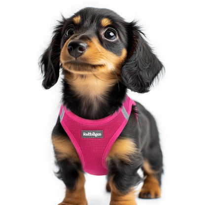 BunnyStep: Reflective Mesh Harness for Small Dogs