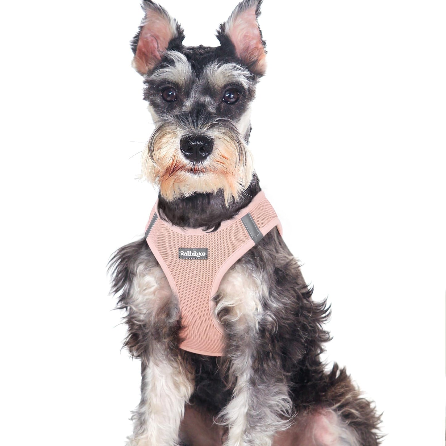 BunnyStep: Reflective Mesh Harness for Small Dogs