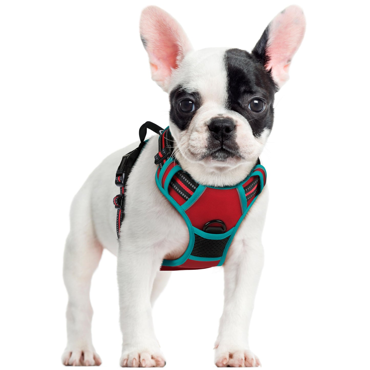 PawGuard No-Pull Reflective Dog Harness - Large Black