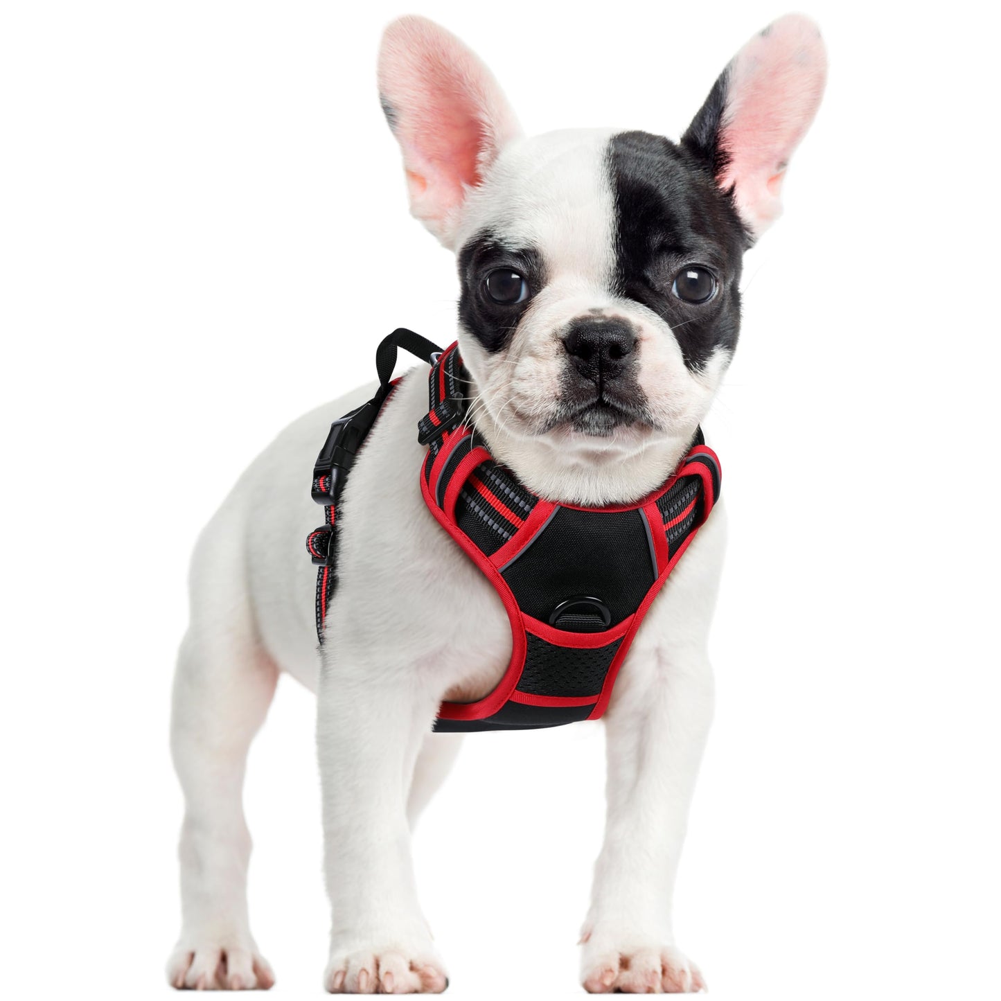 PawGuard No-Pull Reflective Dog Harness - Large Black