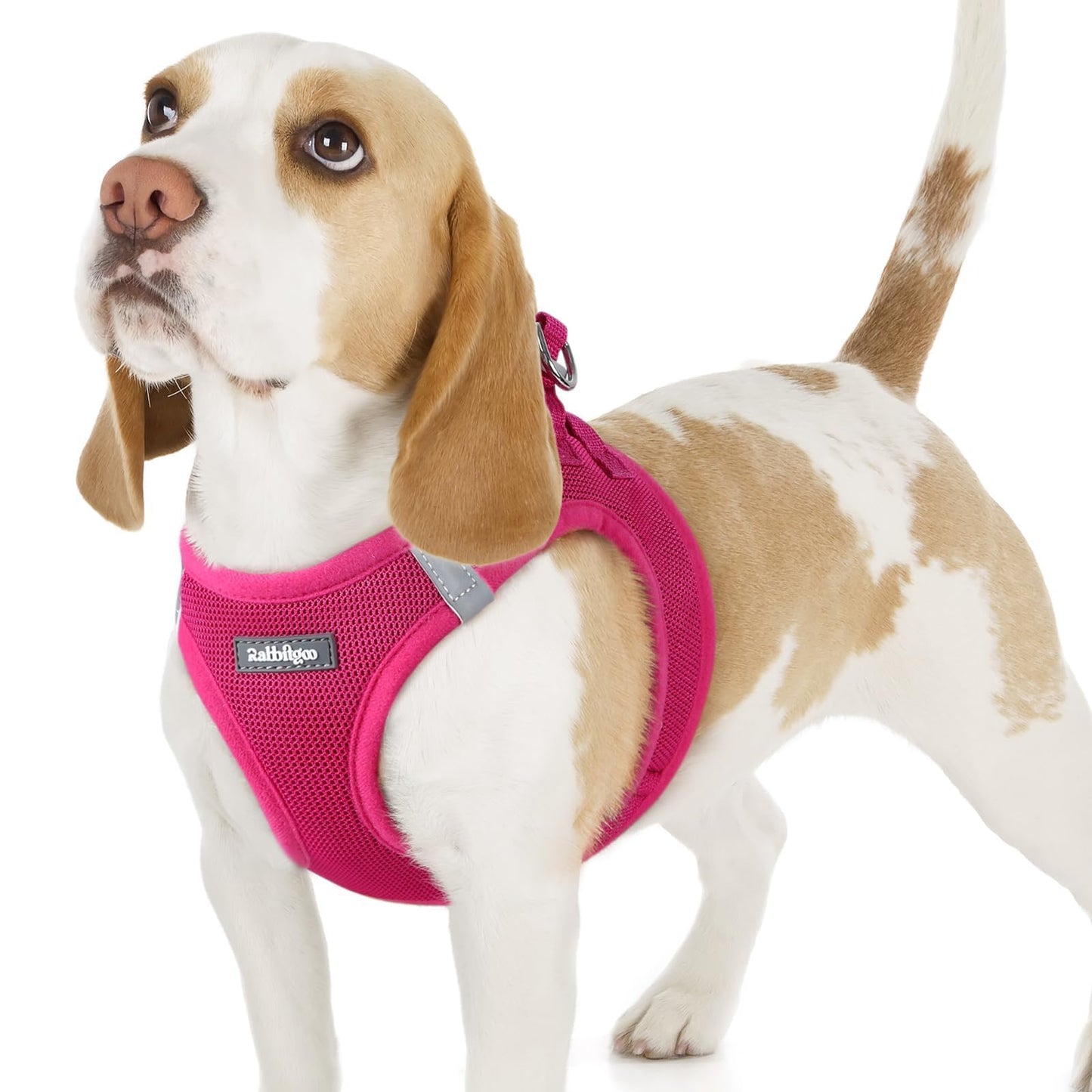 BunnyStep: Reflective Mesh Harness for Small Dogs
