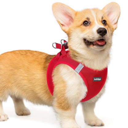 BunnyStep: Reflective Mesh Harness for Small Dogs