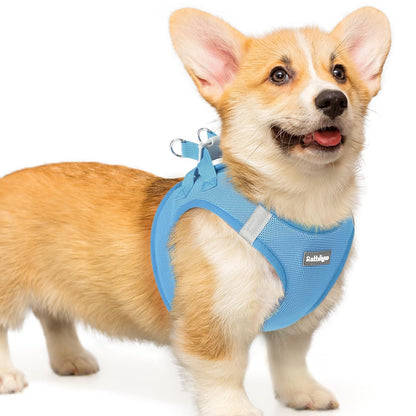 BunnyStep: Reflective Mesh Harness for Small Dogs