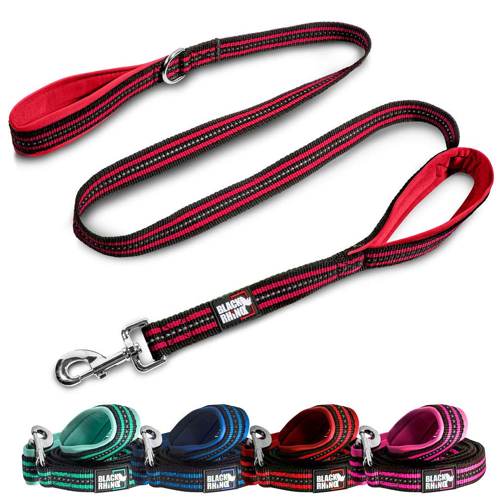 RhinoGrip Aqua: Double Handle Reflective Dog Leash