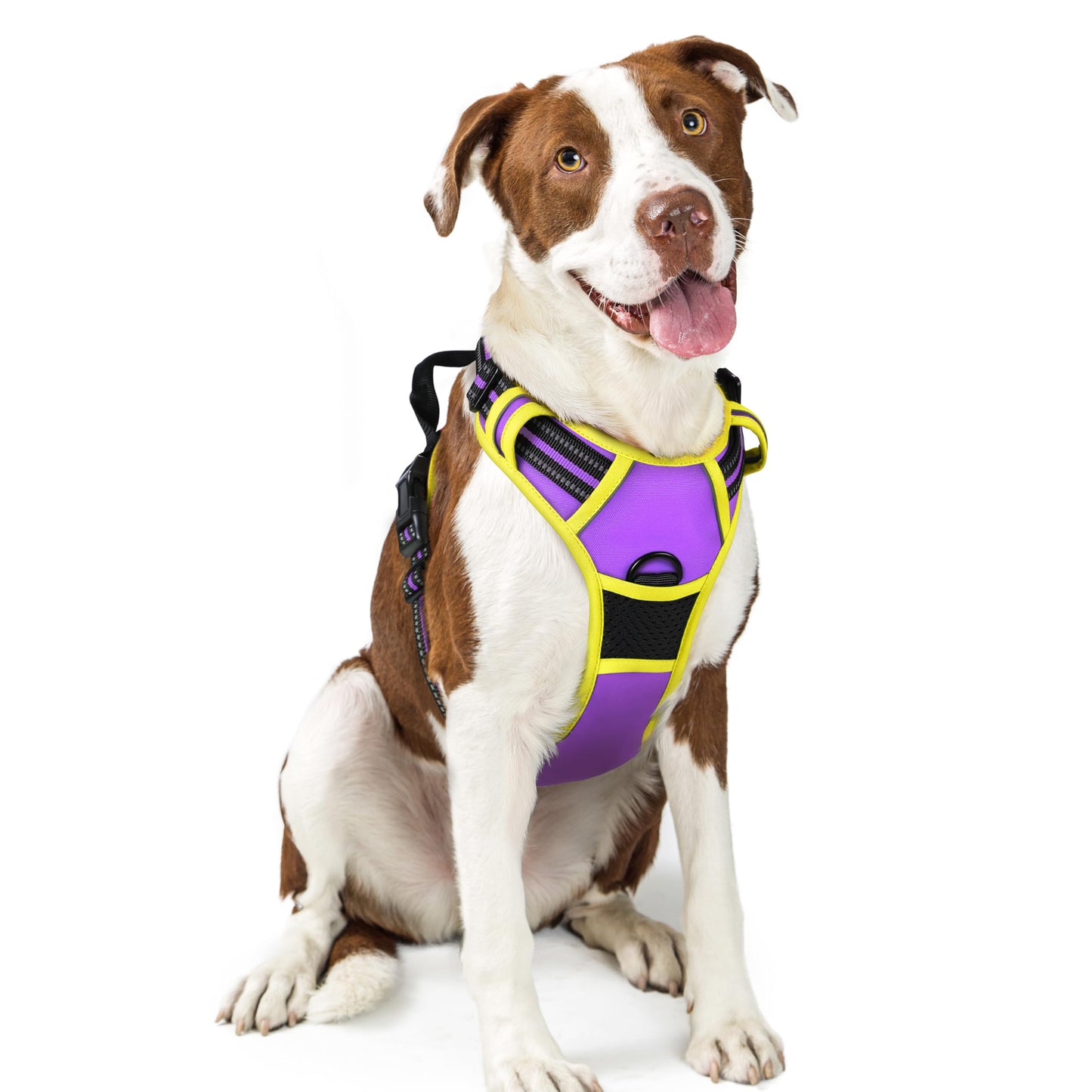 PawGuard No-Pull Reflective Dog Harness - Large Black
