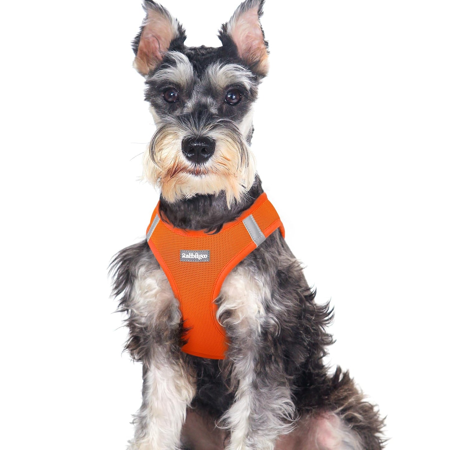 BunnyStep: Reflective Mesh Harness for Small Dogs