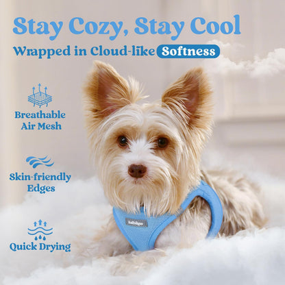 BunnyStep: Reflective Mesh Harness for Small Dogs