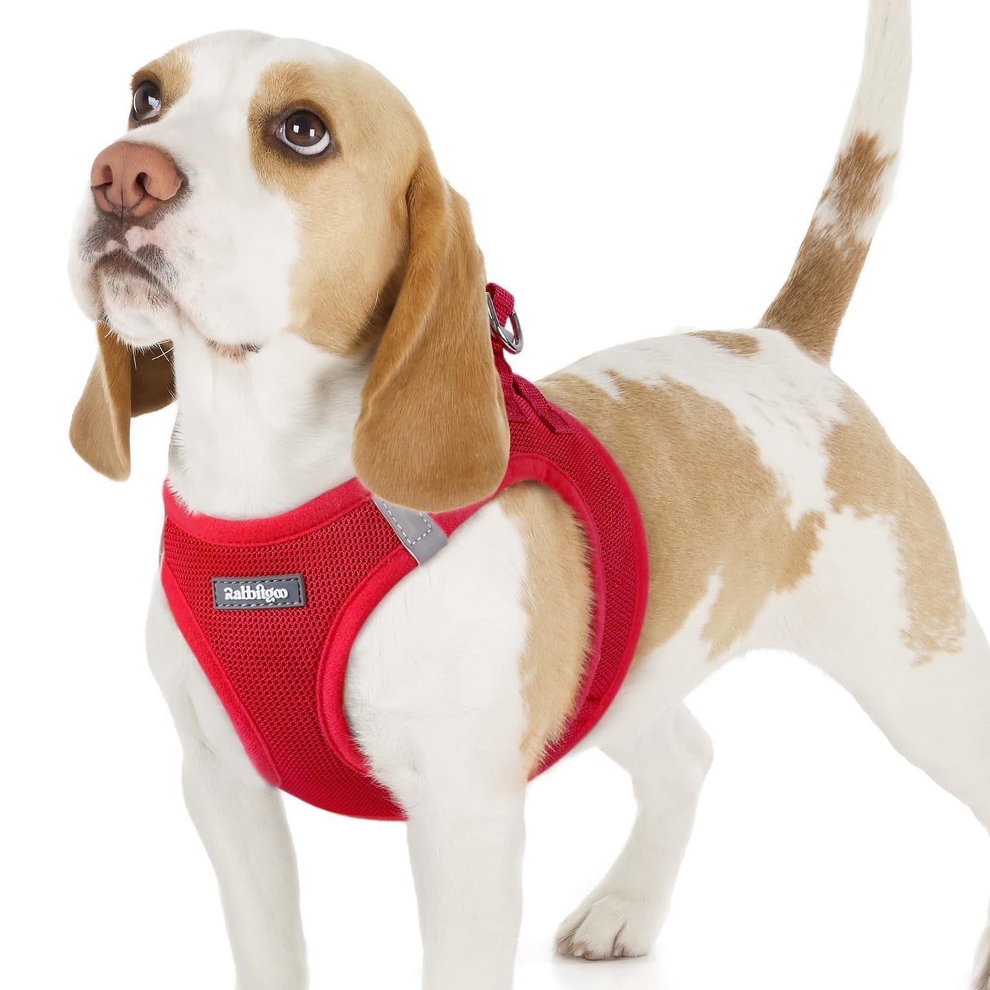 BunnyStep: Reflective Mesh Harness for Small Dogs