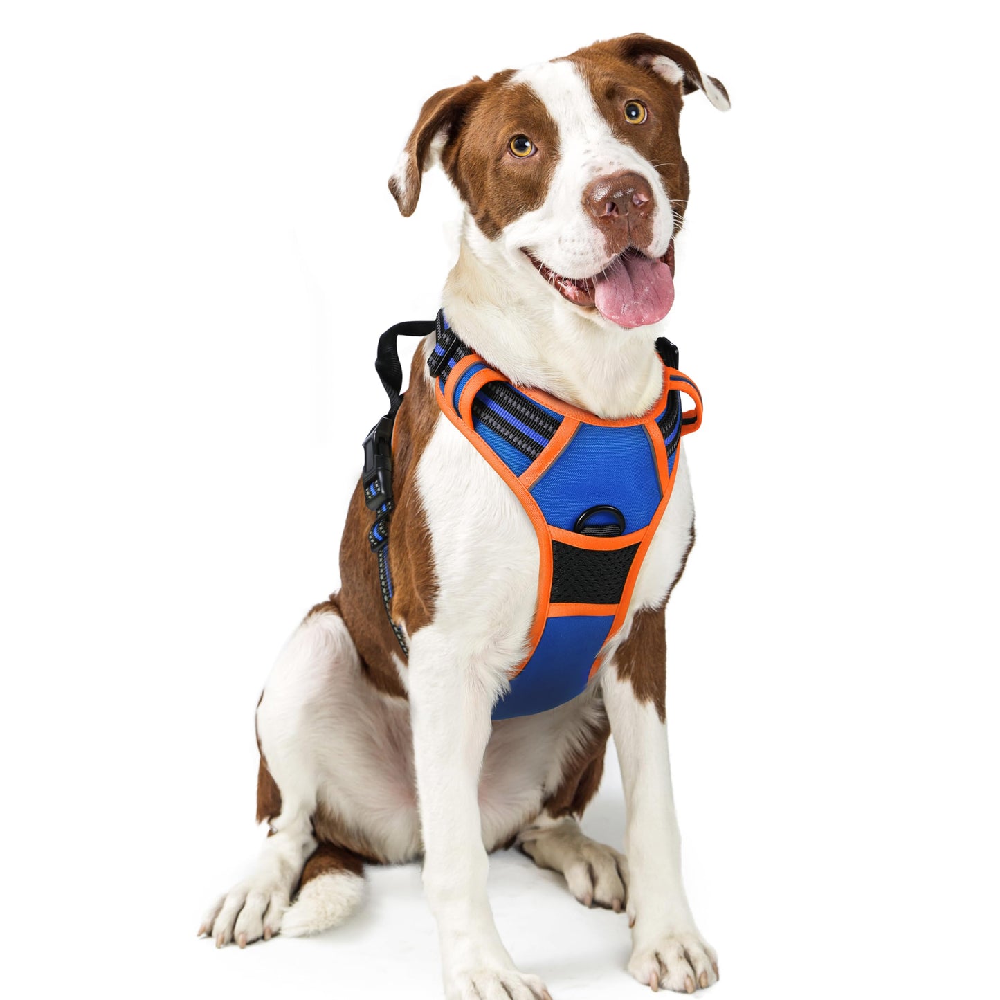 PawGuard No-Pull Reflective Dog Harness - Large Black