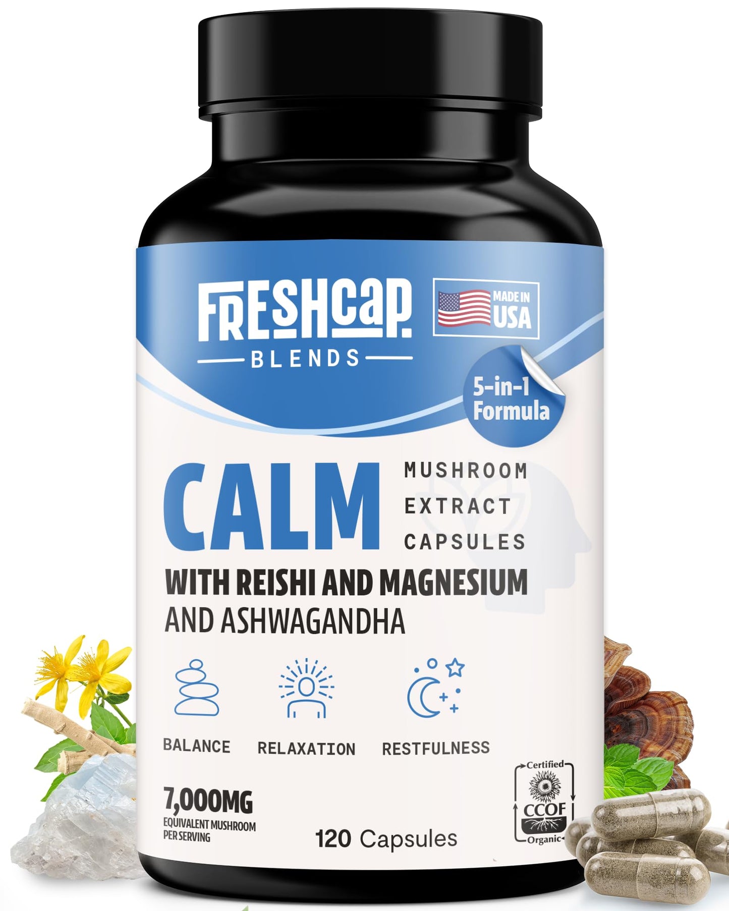 MushroomMind: Ultimate Nootropic Focus Formula