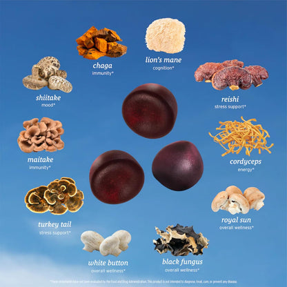 Mushroom Boost Gummies: Focus, Energy & Immunity!