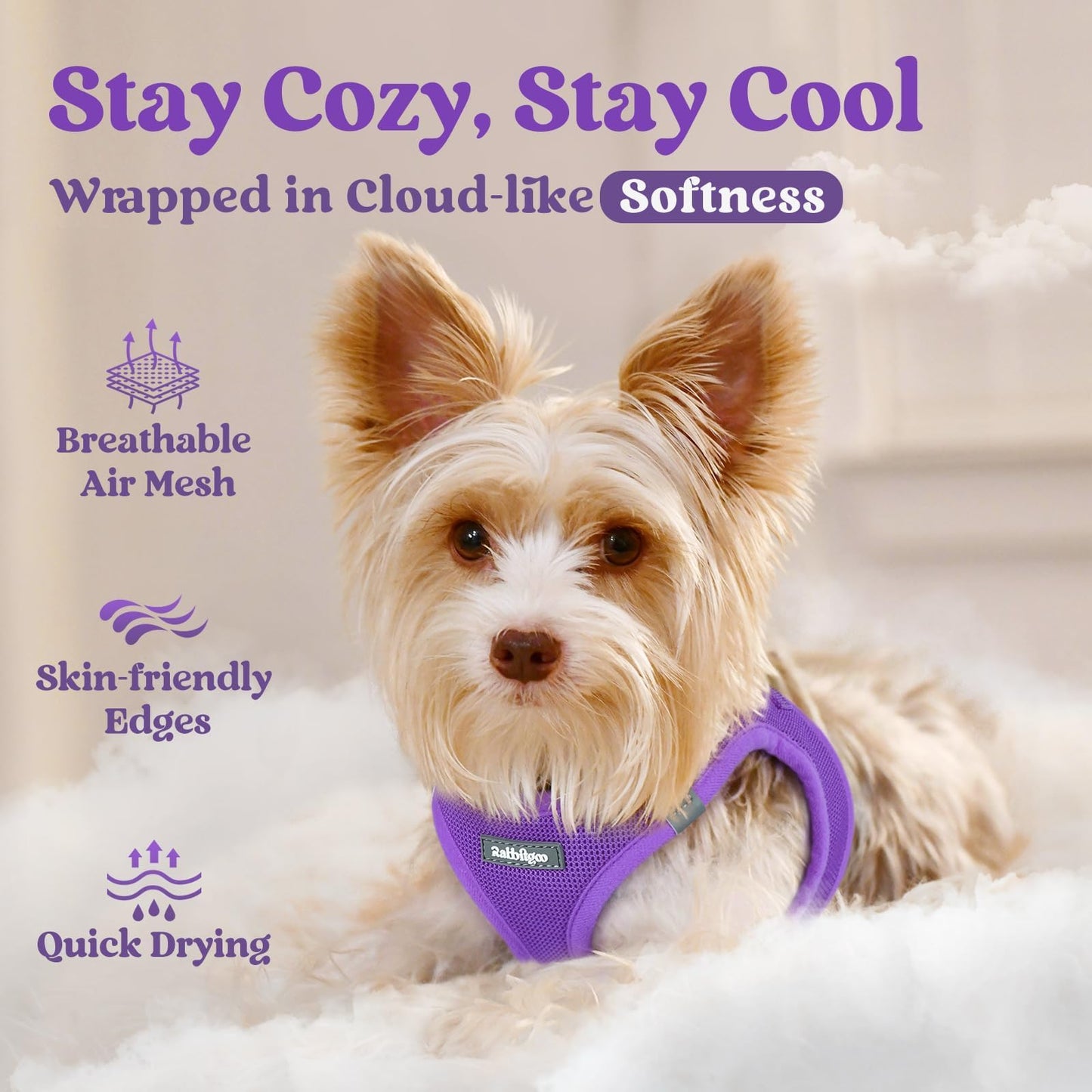 BunnyStep: Reflective Mesh Harness for Small Dogs