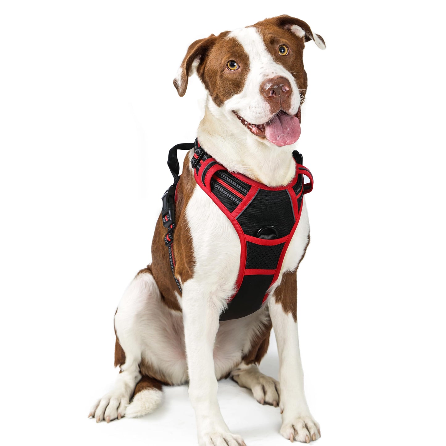 PawGuard No-Pull Reflective Dog Harness - Large Black