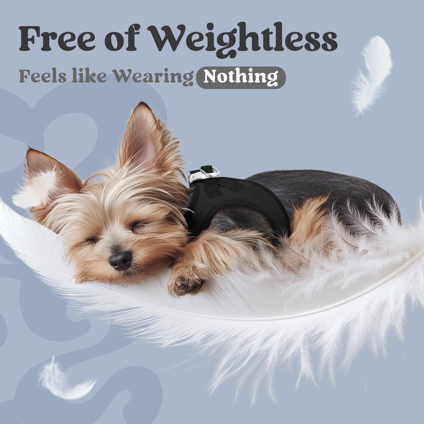 BunnyStep: Reflective Mesh Harness for Small Dogs