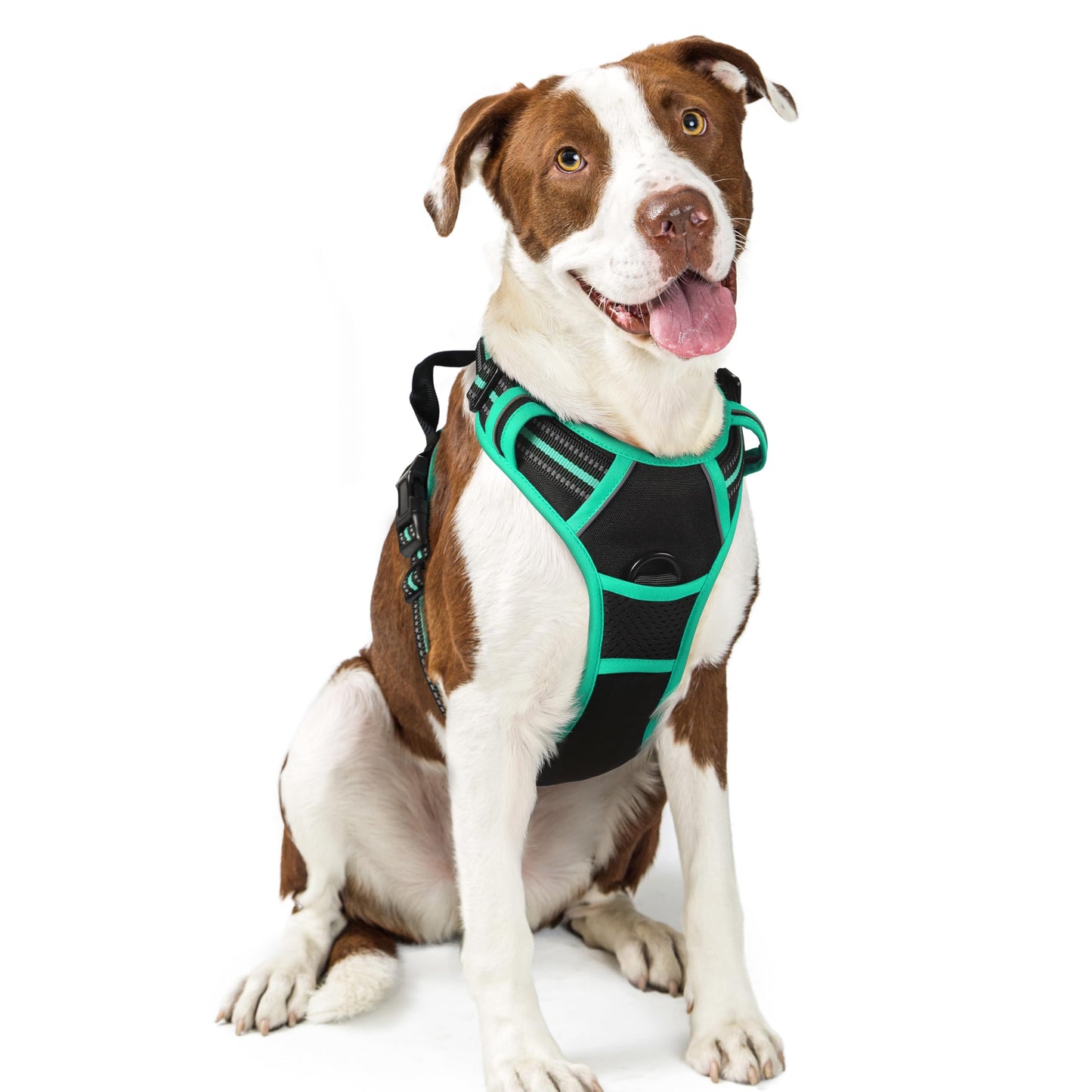 PawGuard No-Pull Reflective Dog Harness - Large Black