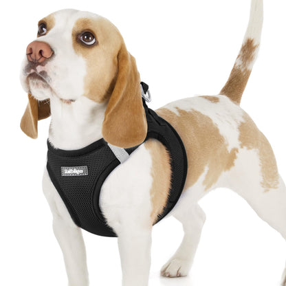 BunnyStep: Reflective Mesh Harness for Small Dogs