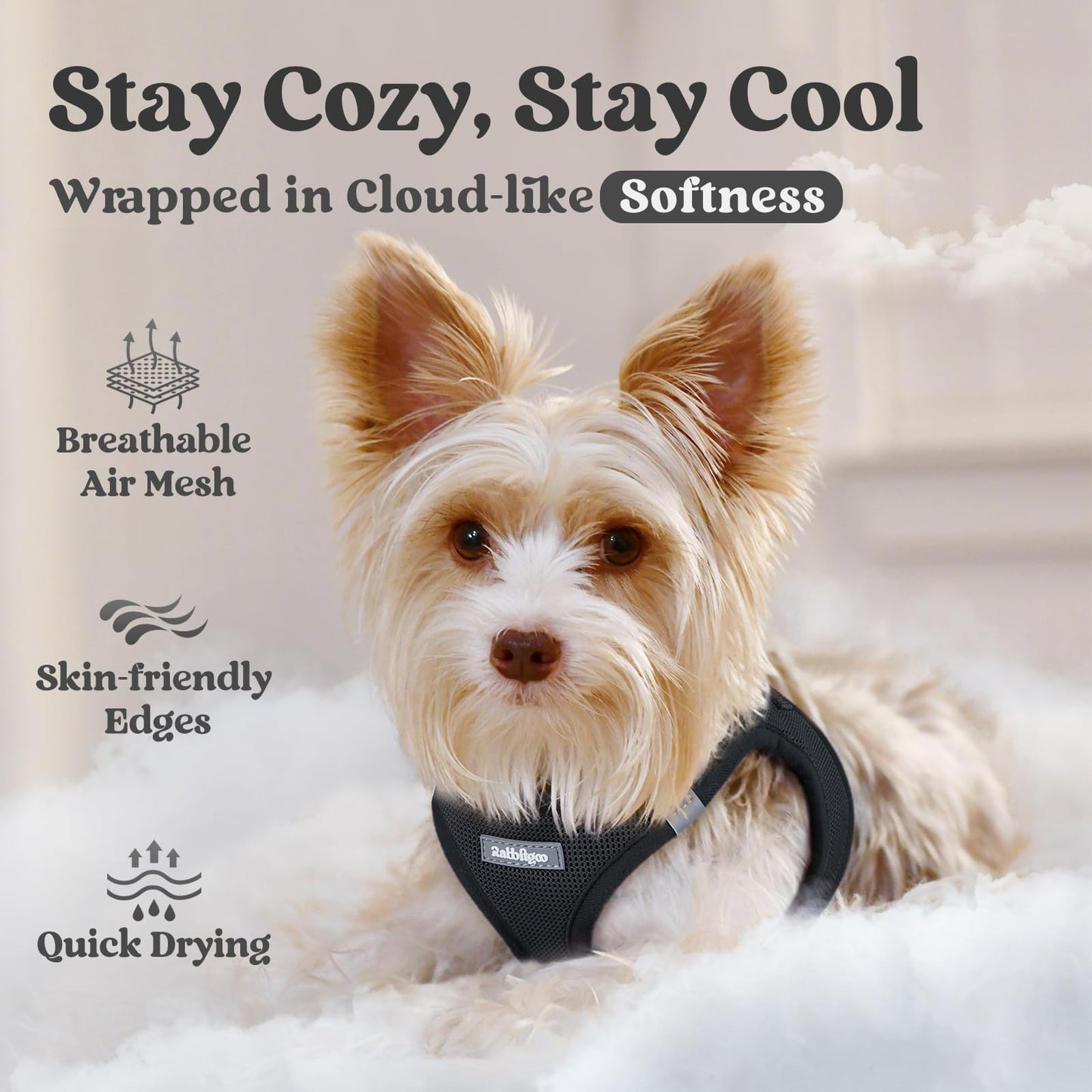 BunnyStep: Reflective Mesh Harness for Small Dogs