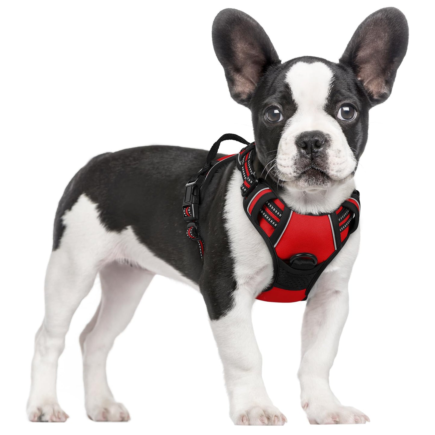 PawGuard No-Pull Reflective Dog Harness - Large Black