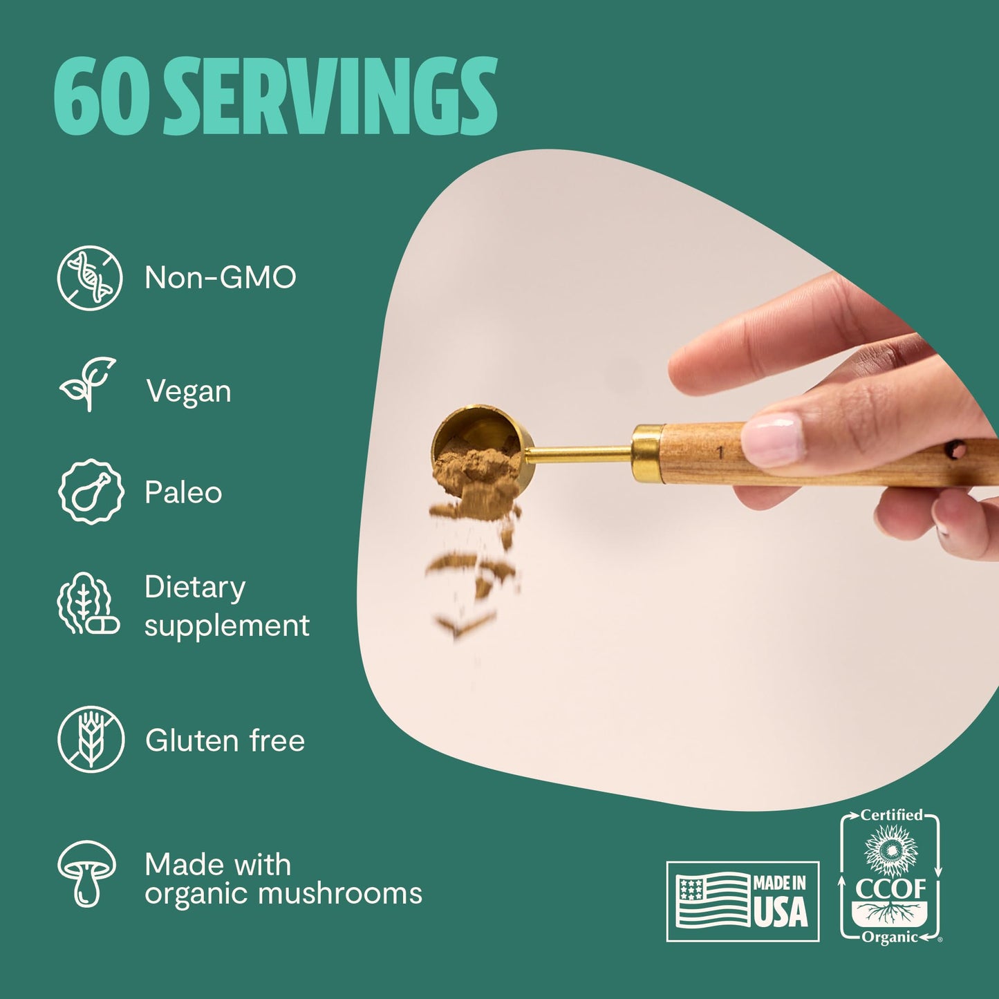 MushroomMind: Ultimate Nootropic Focus Formula