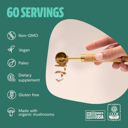 MushroomMind: Ultimate Nootropic Focus Formula