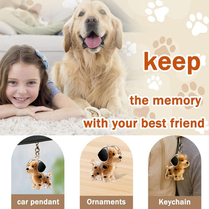 Purrfect Pet Hair Glove