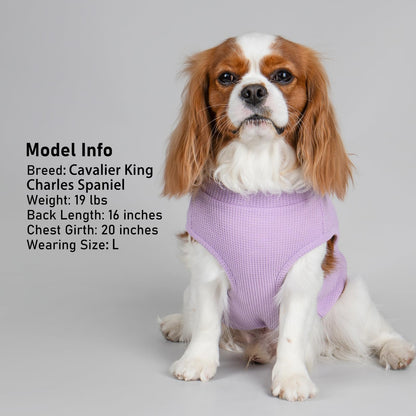 PlaidPup Waffle Vest: Soft, Stretchy, & Cute!