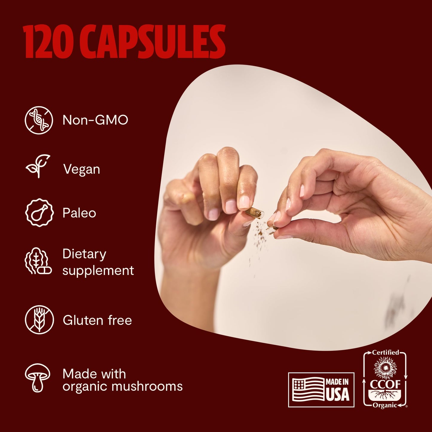 MushroomMind: Ultimate Nootropic Focus Formula