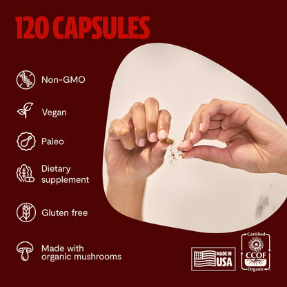 MushroomMind: Ultimate Nootropic Focus Formula