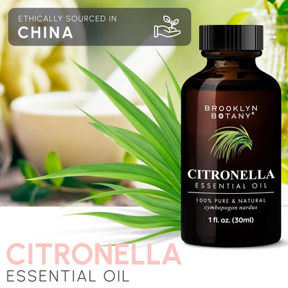 Brooklyn Botany Premium Lavender Oil - 4 Fl Oz