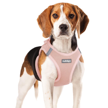 BunnyStep: Reflective Mesh Harness for Small Dogs