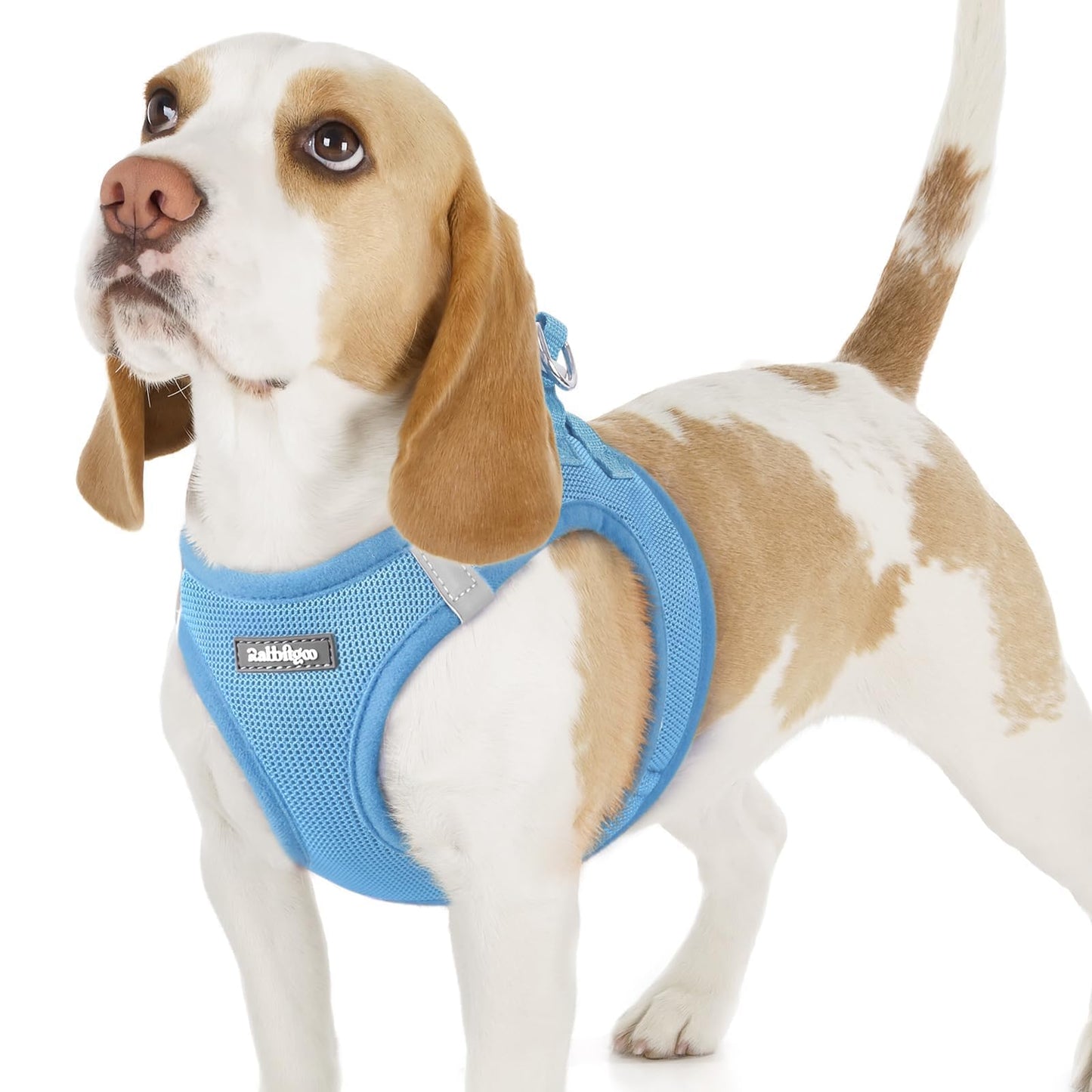 BunnyStep: Reflective Mesh Harness for Small Dogs