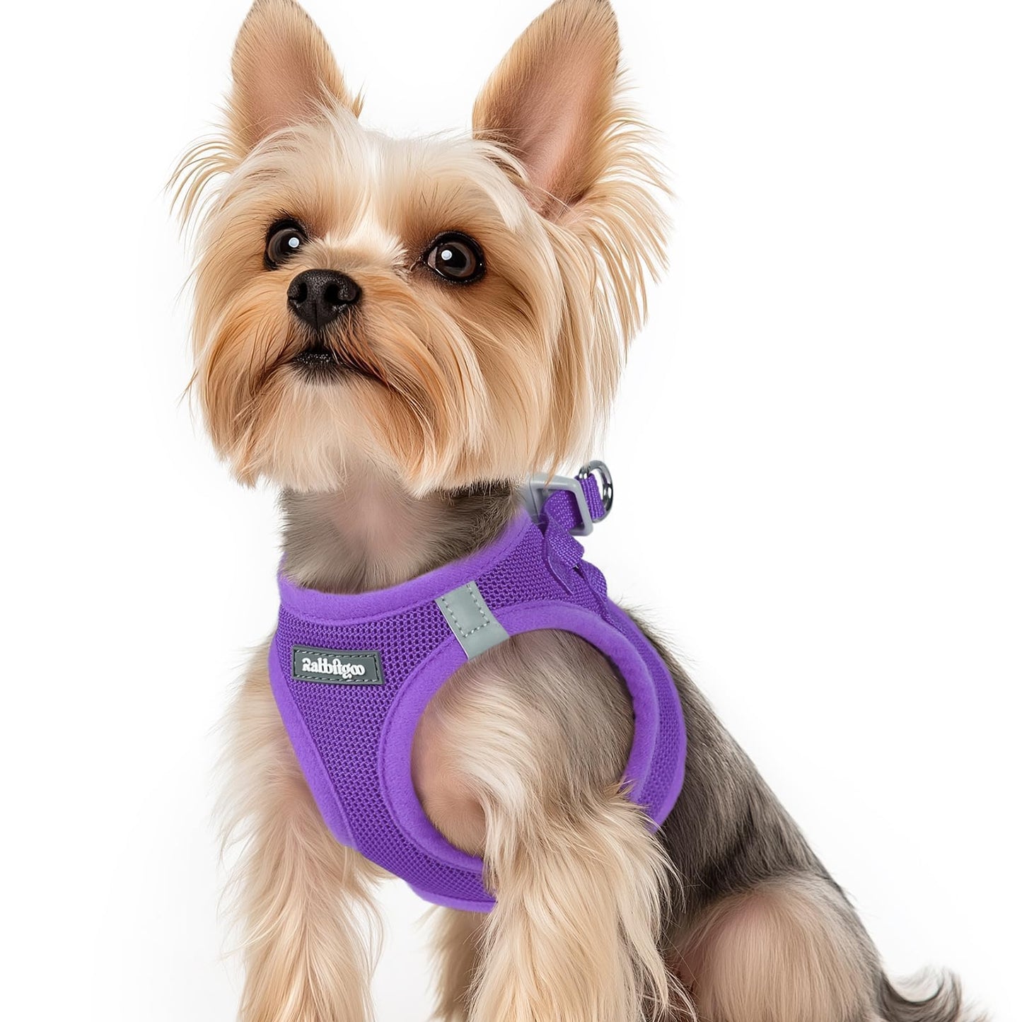 BunnyStep: Reflective Mesh Harness for Small Dogs