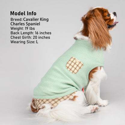 PlaidPup Waffle Vest: Soft, Stretchy, & Cute!