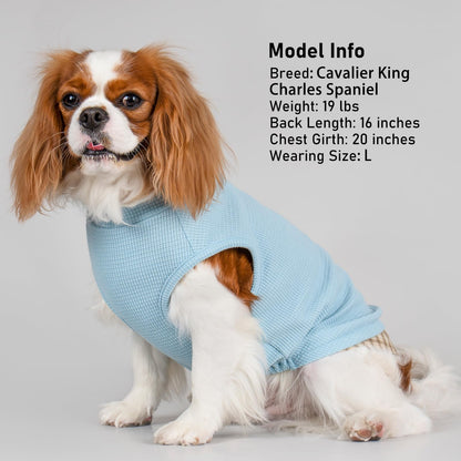 PlaidPup Waffle Vest: Soft, Stretchy, & Cute!