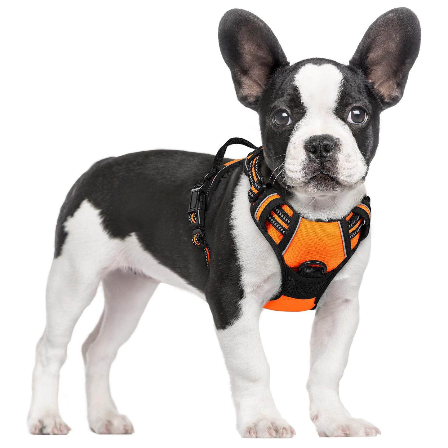 PawGuard No-Pull Reflective Dog Harness - Large Black